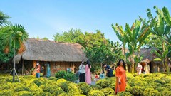 Xuân này sống xanh: Từ lựa chọn nhỏ đến thay đổi lớn