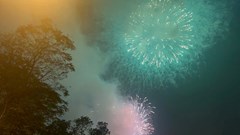 Pháo hoa rực sáng bầu trời, người Việt du xuân đón giao thừa Bính Ngọ 2026