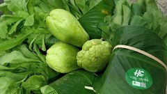 Quét QR chỉ ra trang quảng cáo: Vì sao đó chưa phải truy xuất nguồn gốc?