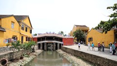 Tăng cường vai trò, trách nhiệm trong quản lý, bảo vệ, phát huy giá trị di tích