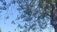 Cần đẩy nhanh tiến độ quy hoạch Di tích quốc gia đặc biệt chùa Đọi Sơn