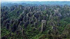 UNESCO công nhận Di sản liên biên giới Vườn quốc gia Phong Nha - Kẻ Bàng và Vườn quốc gia Hin Nam Nô - Lào