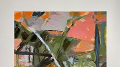  Vũ điệu sắc màu và cảm xúc