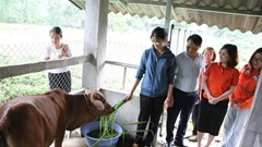 Từ sinh kế đến khởi nghiệp – câu chuyện của những phụ nữ dám nghĩ dám làm ở Thái Nguyên