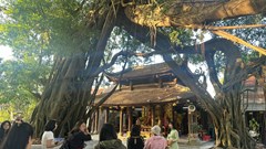 Khơi dậy nguồn lực nội sinh phát triển bền vững