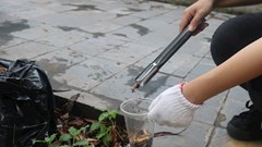 Thuốc lá và những tác động ít được nhìn thấy đối với di sản văn hóa