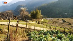 Diện mạo điện ảnh Việt Nam thời Đổi mới qua 17 tác phẩm tiêu biểu