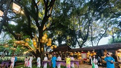 Vườn Ánh sáng- sự giao thoa của nghệ thuật và tri thức 