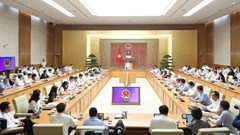 Thúc đẩy hoàn thiện thể chế, phát triển các ngành trụ cột