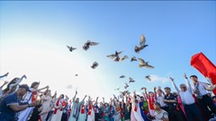 “Sen trong đá” và “Ước nguyện hoà bình” từ Côn Đảo