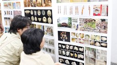 Những phát hiện mới về Khảo cổ học năm 2026