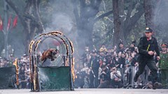 Mãn nhãn với màn trình diễn cảnh khuyến, kỵ binh của lực lượng CAND