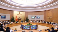 Gỡ 'thẻ vàng' IUU: Sẵn sàng cho đợt kiểm tra của EC