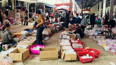 Doanh thu hộ kinh doanh tăng có bị truy thu thuế?