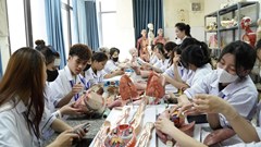 Quy định chuẩn nghề nghiệp giảng viên cao đẳng