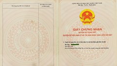 Những chính sách mới có hiệu lực từ tháng 9.2026