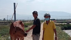  Huyện Ninh Hải đẩy mạnh triển khai công tác giảm nghèo