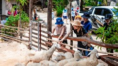 Đảm bảo an toàn cho du khách trong dịp lễ 30.4 - 1.5