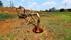 Hạn hán kéo dài nhiều diện tích cây trồng ở Gia Lai khô héo