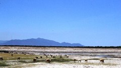 Lên phương án đối phó với hạn hán kéo dài