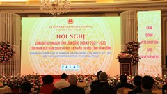 Công bố Quy hoạch tỉnh giai đoạn 2021 – 2030, tầm nhìn đến năm 2050