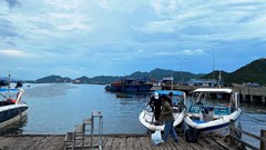 Không tổ chức tour du lịch trên đảo Bình Ba, Bình Hưng