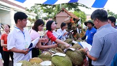 Lễ hội trái cây Khánh Sơn