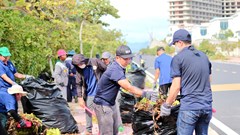 Chung tay bảo vệ môi trường du lịch, thu hút du khách