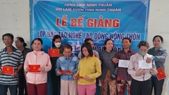 Huyện Ninh Phước quan tâm đào tạo nghề lao động nông thôn, vùng nghèo, khó khăn