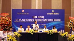 Năm 2024, Ninh Thuận nằm trong nhóm 10 tỉnh dẫn đầu cả nước về thu hút vốn FDI