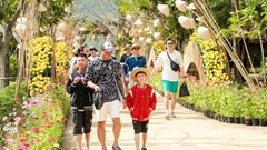 Khách nội sôi động