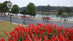 “Khai tử” dịch vụ chở khách bằng xe ngựa tại khu vực hồ Xuân Hương