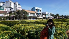 Nghề kể chuyện mà không cần lời