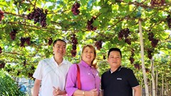 Huyện Ninh Hải dồn lực xây dựng nông thôn mới nâng cao