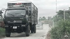 Xã Phú An (Gia Lai): Nhiều xe trọng tải chở gỗ keo gây ô nhiễm môi trường khu dân cư