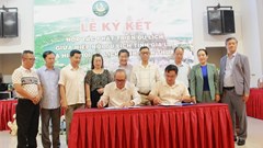 Ninh Thuận - Gia Lai hợp tác phát triển du lịch bền vững