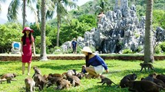 Khánh Hòa tăng cường quản lý du lịch, hướng đến phát triển bền vững