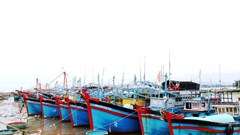 Khánh Hòa chủ động ứng phó với vùng áp thấp trên Biển Đông