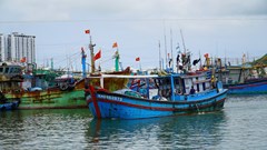 Khánh Hòa khẩn cấp cấm biển ứng phó bão số 15 