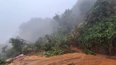 Lâm Đồng: Sạt lở nghiêm trọng, nhiều ô tô bị mắc kẹt trên đèo Gia Bắc 
