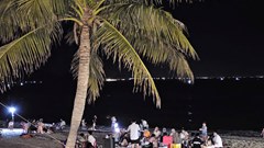 Khánh Hòa: Bãi biển giáp ranh Ninh Chử - Đông Hải bị ô nhiễm bởi tiếng ồn và rác thải