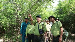 Chuyện những người giữ “nhịp thở” rừng Núi Chúa - Phước Bình