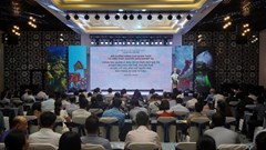 Bồi dưỡng nghiệp vụ quản lý di sản văn hóa cho hơn 300 cán bộ