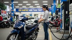 Giá xăng dầu hôm nay 11.8: Thế giới giảm nhẹ, trong nước ổn định