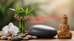 Tử vi 12 con giáp ngày 12.8.2025: Ai may mắn, ai đối diện thử thách?