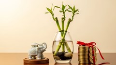 Con số may mắn của 12 con giáp hôm nay 13.8.2025