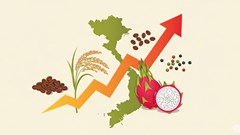 Giá nông sản hôm nay 14.8.2025: Cà phê tiếp tục bứt phá, hồ tiêu neo giá cao ổn định