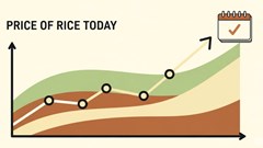 Giá nông sản hôm nay 15.8.2025: Cà phê bứt phá, hồ tiêu neo giá cao