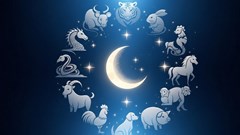 Tử vi hôm nay 15.8.2025: Tuổi Hợi may mắn, tuổi Dậu cần bình tĩnh trước áp lực