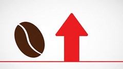 Giá cà phê hôm nay 16.8.2025: Nội địa lập đỉnh, thế giới trái chiều